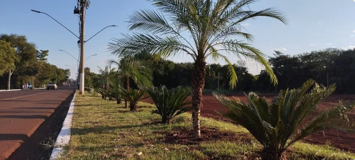 TCE-MS encontra irregularidades em licitação de compras de plantas pelo prefeito Lucas Foroni que supostamente privilegia empresa de ex-primeira dama TCE-MS encontra irregularidades em licitação de compras de plantas pelo prefeito Lucas Foroni que supostamente privilegia empresa de ex-primeira dama