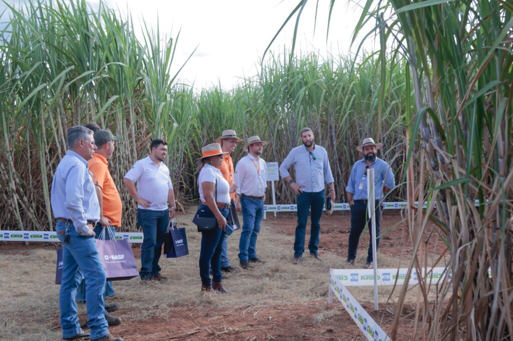 Sulcanas anuncia data da Expocanas de 2025 Sulcanas anuncia data da Expocanas de 2025