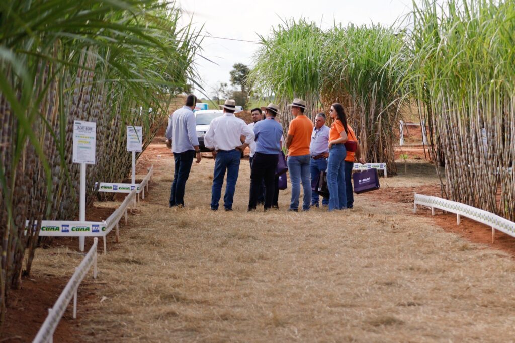 Sulcanas anuncia data da Expocanas de 2025 Sulcanas anuncia data da Expocanas de 2025