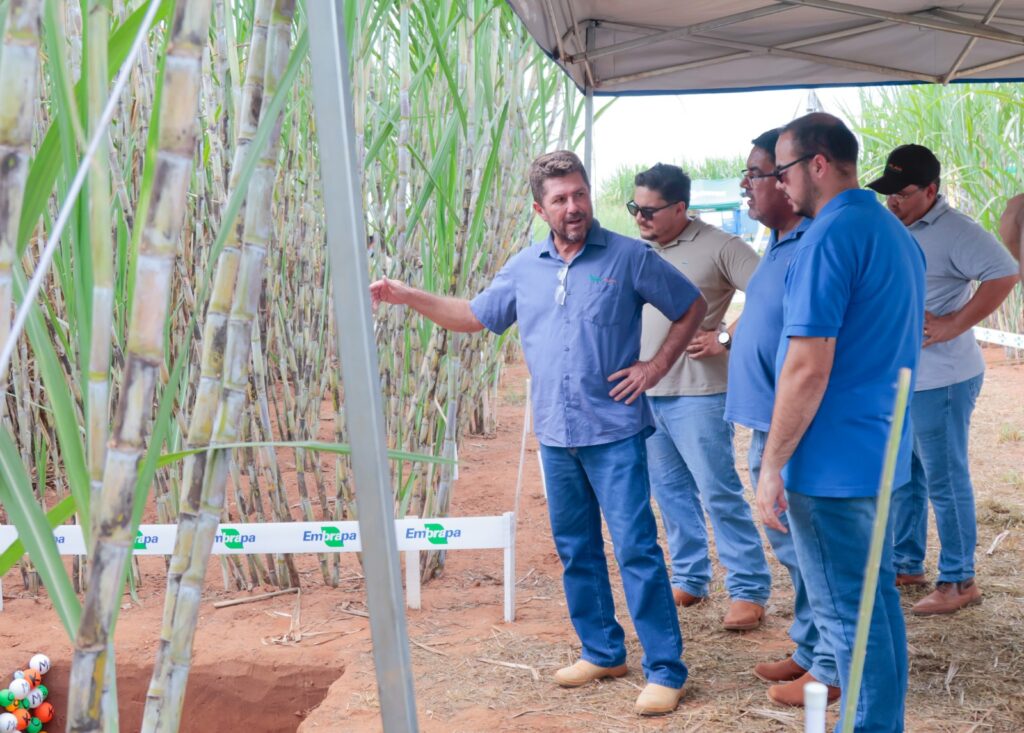 Sulcanas anuncia data da Expocanas de 2025 Sulcanas anuncia data da Expocanas de 2025