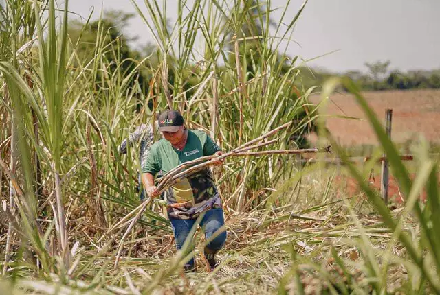 Há 20 anos, Terezinha mudou a vida da família com caldo de cana Há 20 anos, Terezinha mudou a vida da família com caldo de cana