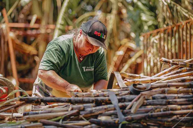 Há 20 anos, Terezinha mudou a vida da família com caldo de cana Há 20 anos, Terezinha mudou a vida da família com caldo de cana
