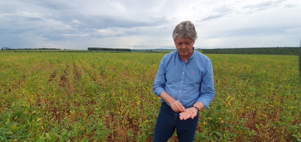 Motor da economia estadual, agronegócio deve puxar PIB do MS que tem previsão de crescer 5,5% neste ano Motor da economia estadual, agronegócio deve puxar PIB do MS que tem previsão de crescer 5,5% neste ano