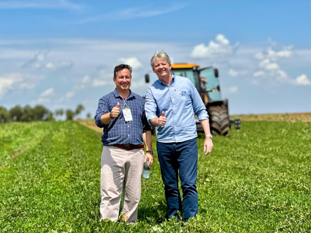 Nova Alvorada do Sul entra para a história com primeira indústria de amendoim do Mato Grosso do Sul