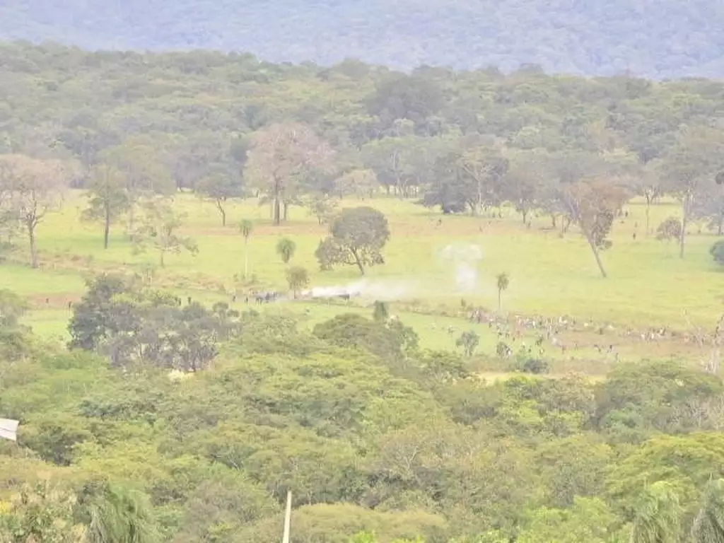 Com demarcação parada desde 2013, terenas ocupam sede de fazenda em Sidrolândia Com demarcação parada desde 2013, terenas ocupam sede de fazenda em Sidrolândia