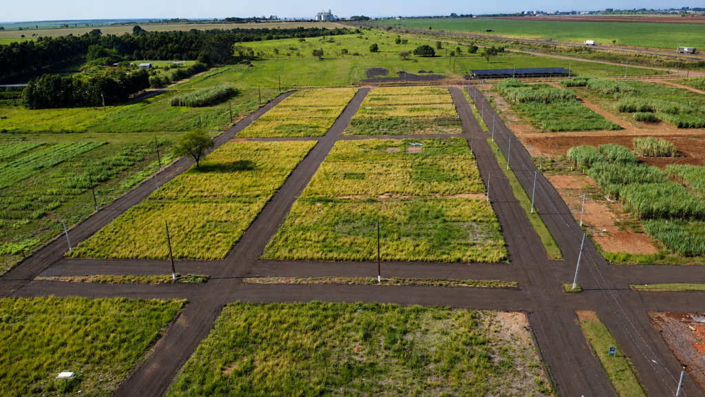 Gestão de Márcio Verrunes amplia legado da Sulcanas e projeta novos avanços para a Expocanas 2027 Gestão de Márcio Verrunes amplia legado da Sulcanas e projeta novos avanços para a Expocanas 2027