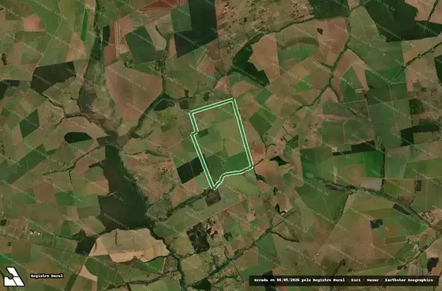 Reforma agrária avança em MS, mas 19,5 mil famílias ainda esperam por terra Reforma agrária avança em MS, mas 19,5 mil famílias ainda esperam por terra