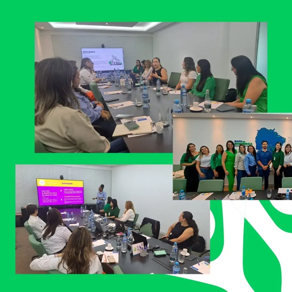 Inclusão e qualificação da Pessoa com Deficiência foram pautas do Workshop Acessibilidade, realizado pela Biosul