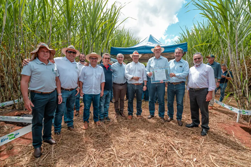 Expocanas 2025 supera expectativas e movimenta R$ 80 milhões em negócios Expocanas 2025 supera expectativas e movimenta R$ 80 milhões em negócios