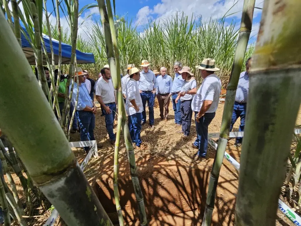 Expocanas consolida-se como a maior vitrine da bioenergia em Mato Grosso do Sul