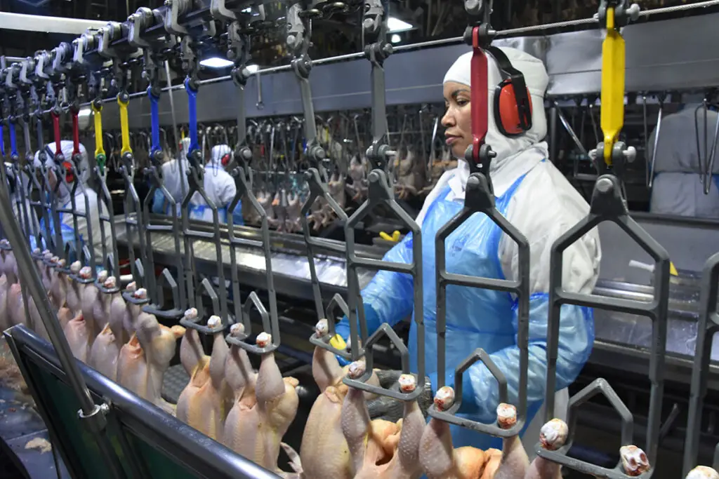 Receita com exportação de produtos industriais de MS registrou US$ 667,7 milhões em agosto Receita com exportação de produtos industriais de MS registrou US$ 667,7 milhões em agosto