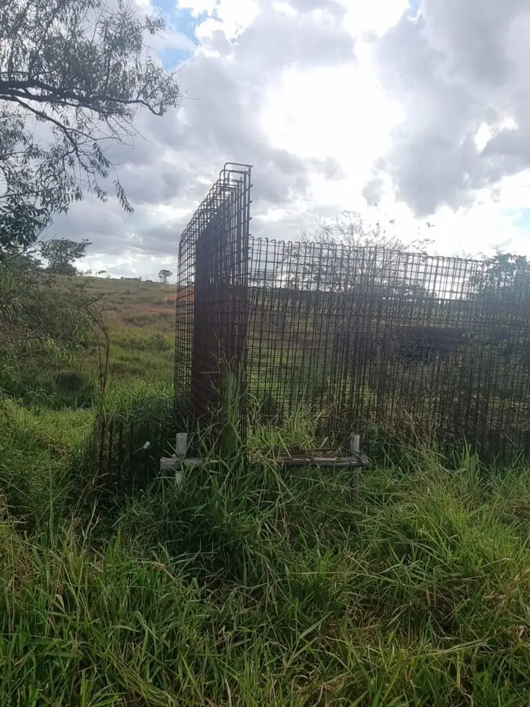 Ponte da CG-284 segue abandonada e produtores rurais cobram providências do poder público Ponte da CG-284 segue abandonada e produtores rurais cobram providências do poder público